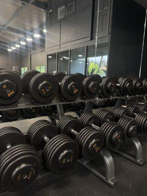 Love their new dumbbells!