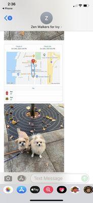 Sample of part of the dog walk reports that are so fun!