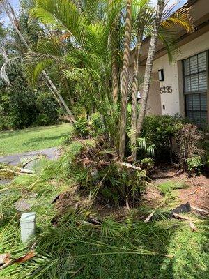 All You Need Lawn Service