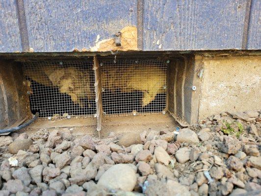 Clear Choice Pest Management