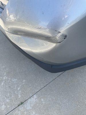 Conejo Auto Detail & Window Tint