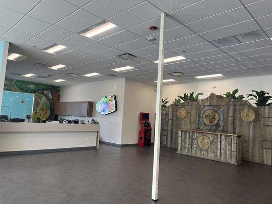 Perfect Teeth For Kids