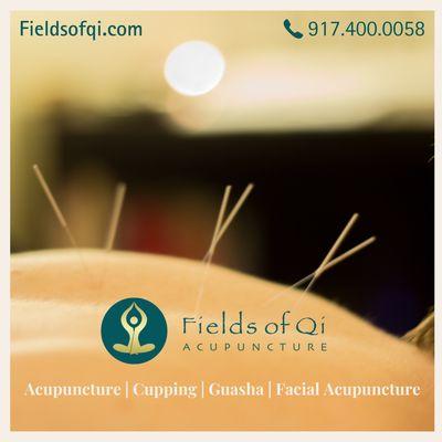 Fields of Qi Acupuncture