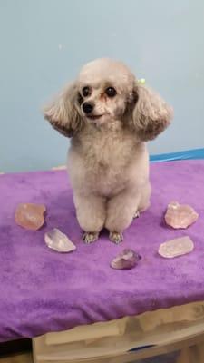 Nothing like a crystal shower to decompress before a car ride!