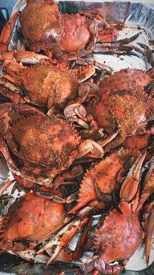 Maryland Blue Crabs