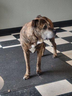 Rocklin Smog & Auto Repair