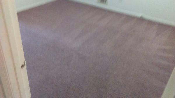 Daylad Carpet and Upholstery Services