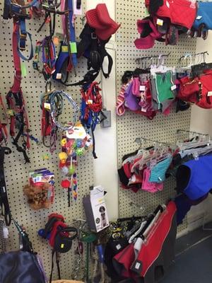 Coats, collars and leashes for your favorite mutt