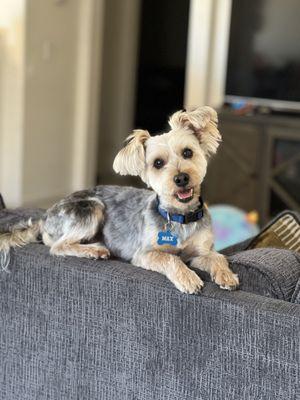 Spoiled Rotten Pet Salon