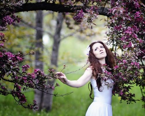 Peter Paradise Photography