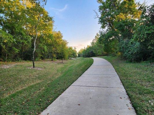 Trenton Tree Services