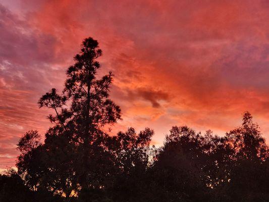 Charleen TeGroen Physical Therapy