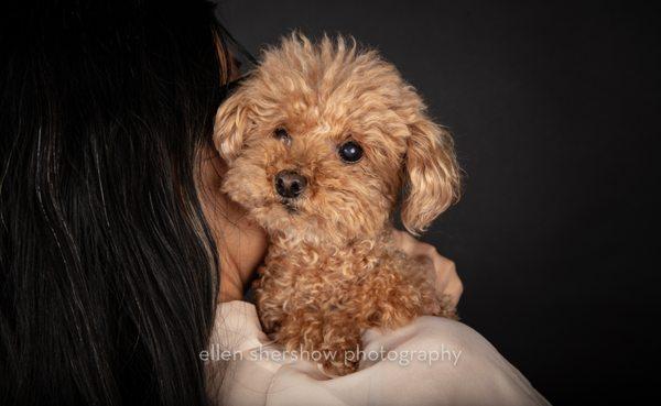 Ellen Shershow Photography