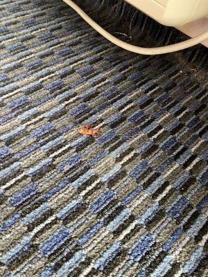 Bar Harbor Motor Inn