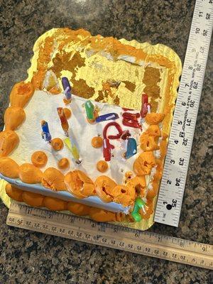 Size of cake. Pretty small for the price.