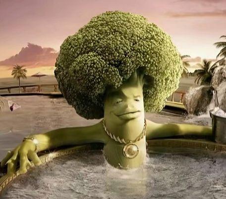 Valley View Junior School