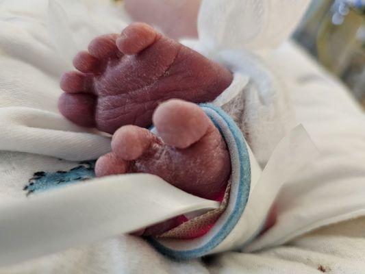 Ascension Saint Thomas Rehabilitation Hospital