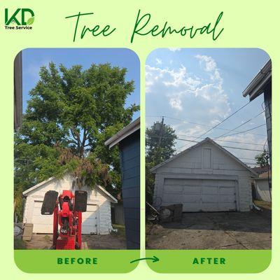 KD Tree Service