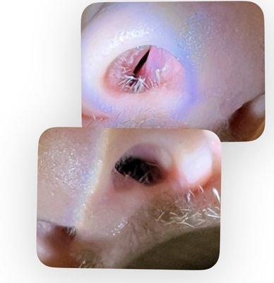 Left my nasal passage completely shut