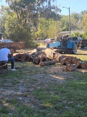 Milton Baker Tree Service