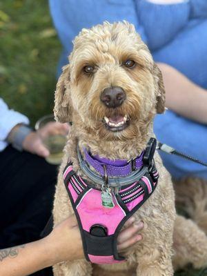 Yofi saying thank you Mike!