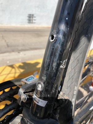 Tony's Schwinn Bike Shop