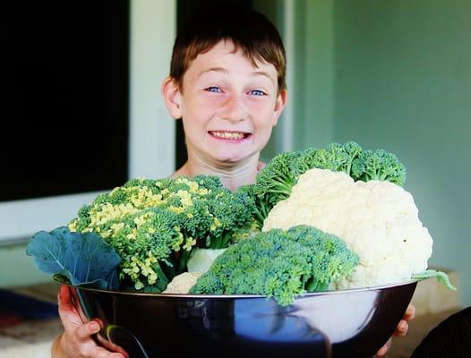 Easy Edible Landscapes