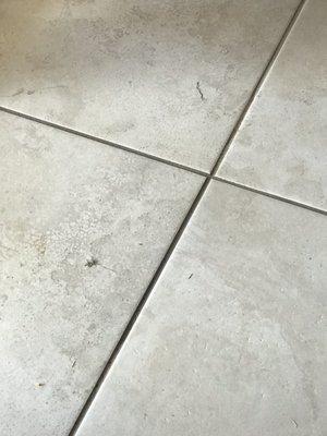 Dirty tile