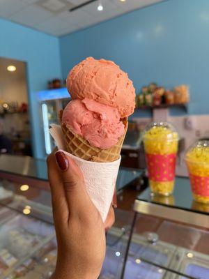 Guava and Mamey Ice Cream