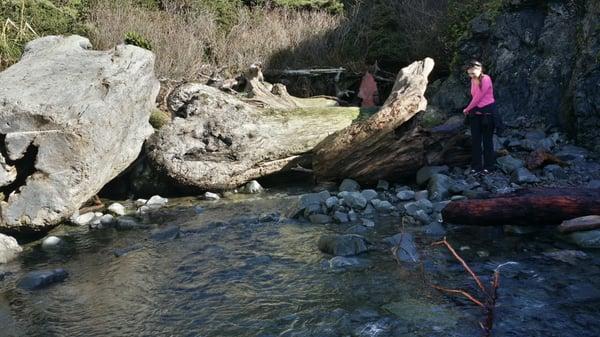 Damnation Creek Trail
