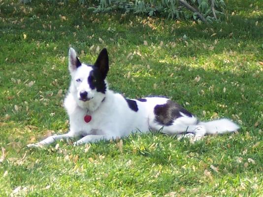 Infinity Computer Services Inc