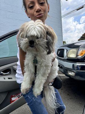 Clip and Dip All Dog Grooming