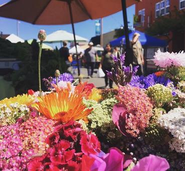 Good crop of fresh aromatic flowers