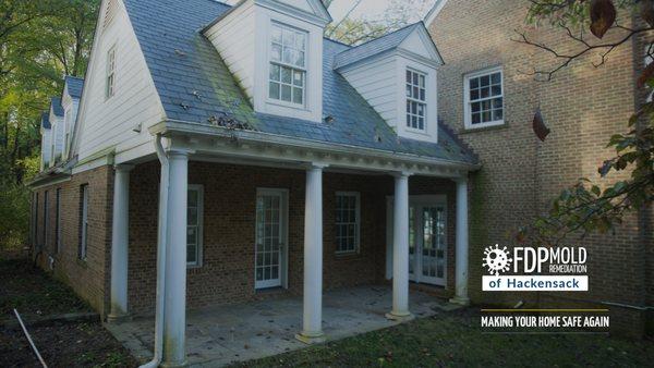 FDP Mold Remediation