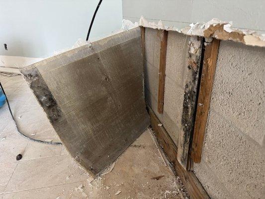 Bonita Springs drywall removal uncovered hidden mold -- our certified crew handled full remediation.