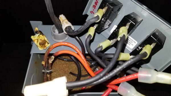 Jody Chapman- Compass Real Estate