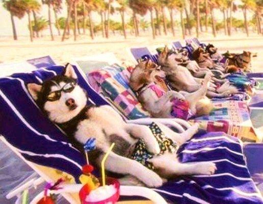 Loren Fox - Keller Williams Realty