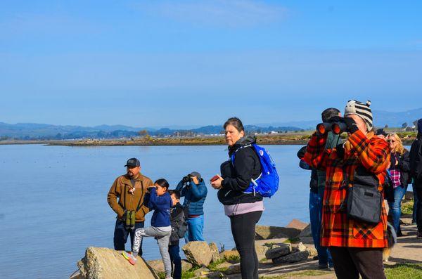 Urban Bird Foundation