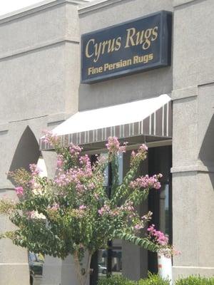 Cyrus Persian & Oriental Rugs