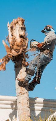 Ecovista Landscape & Tree Co.