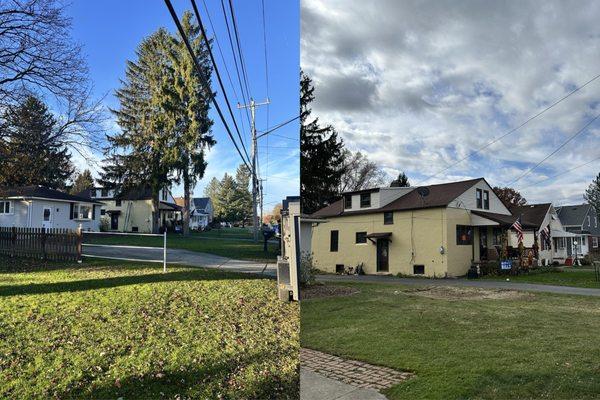 "From hazardous to handled -- another safe tree removal done right"