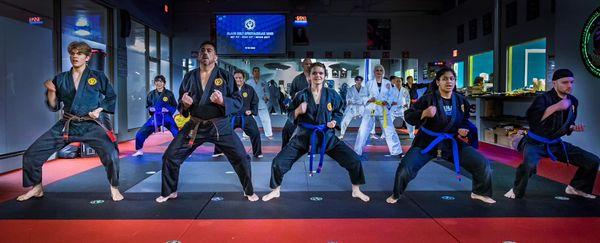 International Martial Arts Academy South