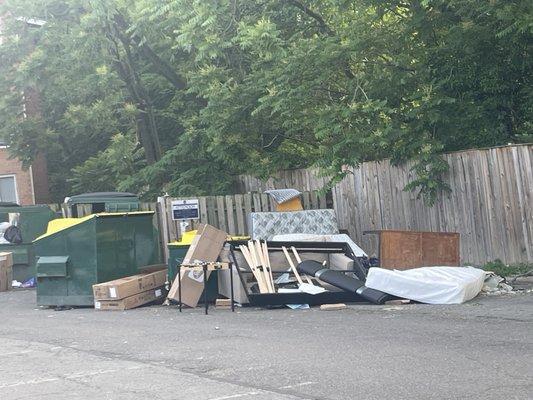 Crystal Woods Of Alexandria