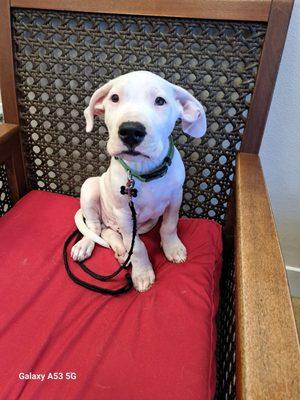 Oakley Veterinary Medical Center