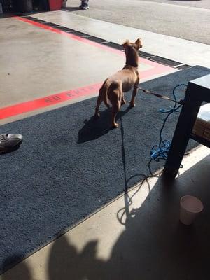 That's CoCo say Hello!