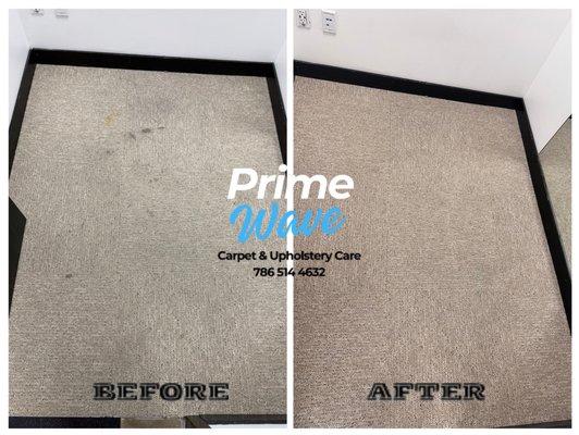 Prime Wave Carpet & Upholstery Care