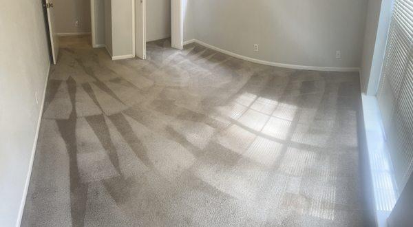 Action Carpet Cleaning