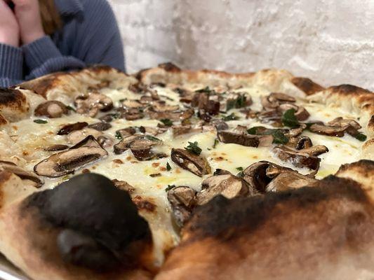 Fungi Pizza