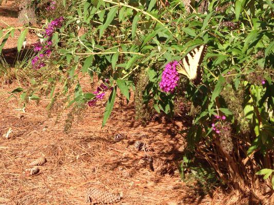 Lawrence Painting Pros