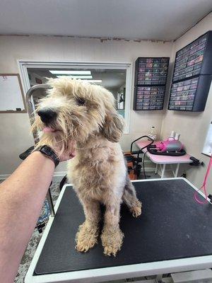 Grooming & Boarding Cottage